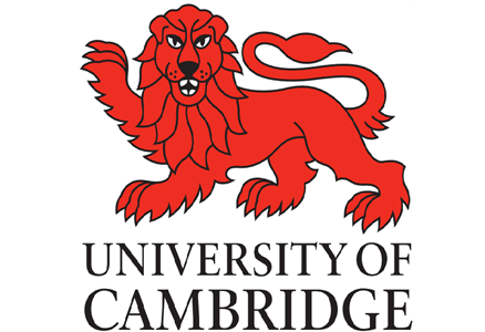 Sport's Clubs Men's Merchandise