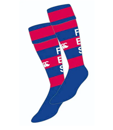 FBS Hooped Socks